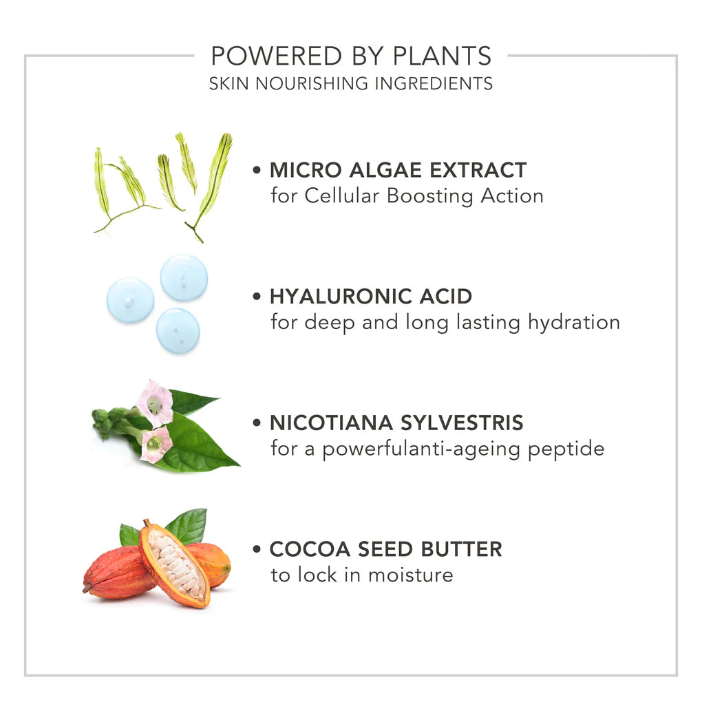 Wake Up Radiant Eye Perfector